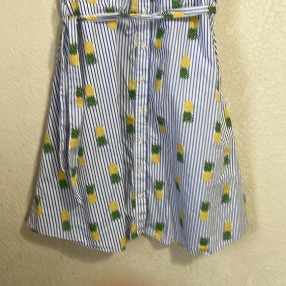 Chloe +Rene Pineapple Design Dress - Picture 3 of 9